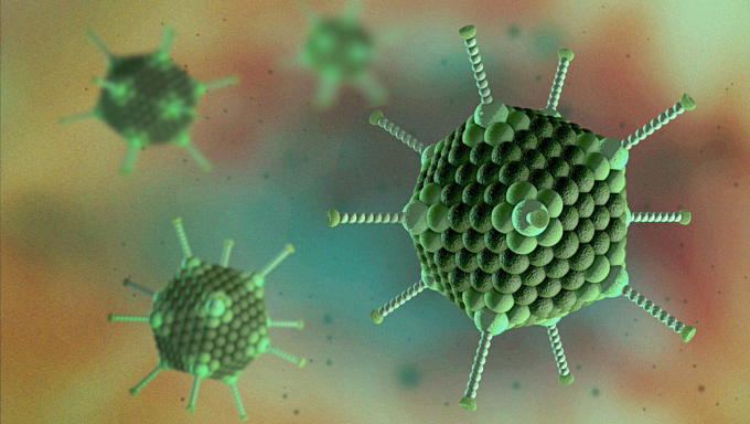 Hình ảnh hiển vi điện tử mô phỏng adenovirus. Ảnh: Native Antigen