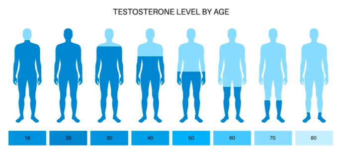 Lượng testosterone ở nam giới đạt đỉnh cao ở độ tuổi 20 và giảm dần theo thời gian. Ảnh: BVĐK Tâm Anh