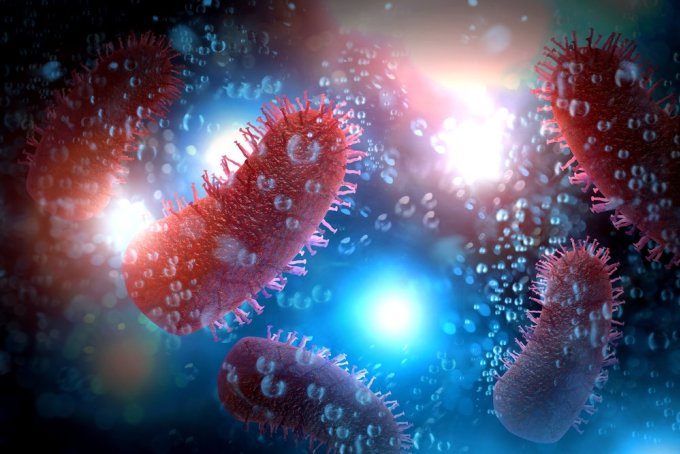 Virus dại hay virus gây bệnh dại (Rabies virus). Ảnh: Shutterstock