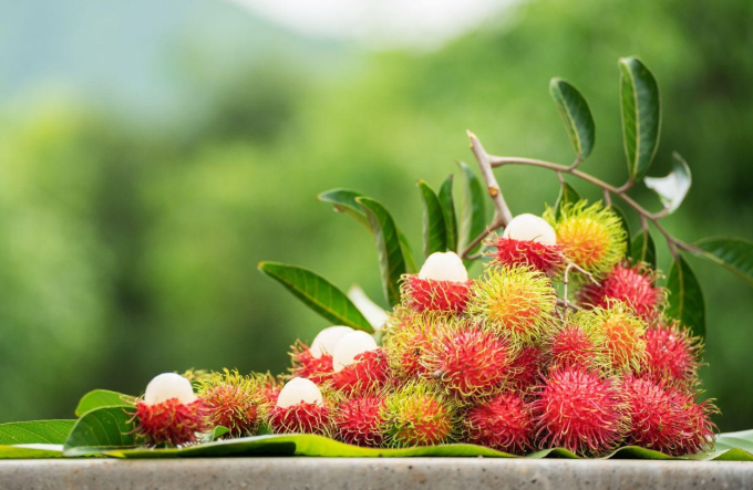 Chôm chôm là trái cây nhiệt đới, có chỉ số đường huyết ở mức trung bình. Ảnh: Shutterstock