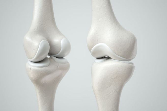 Sụn khớp cho phép các xương có thể linh hoạt, trơn tru khi vận động Ảnh: Orthocarolina