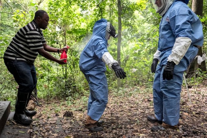 Các nhà khoa học được phun chất khử trung khi làm việc tại Rừng Quốc gia Queen Elizabeth, Uganda. Ảnh: Washington Post